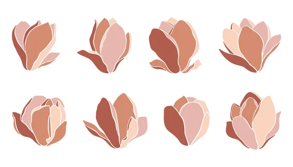 Brotes Florales Magnolia Aislados Sobre Fondo Blanco Conjunto Flores Vectoriales — Archivo Imágenes Vectoriales