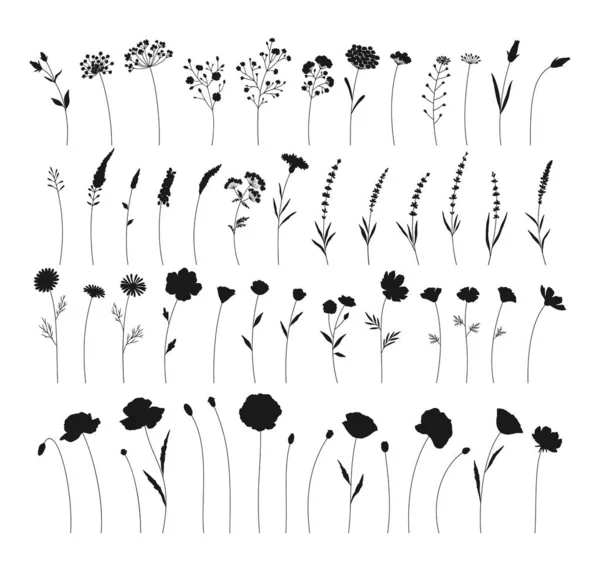 Набір Квітів Силуети Квітів Намальовані Вручну Лугові Трави Дикі Рослини — стоковий вектор
