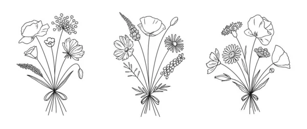 Wildflower Σειρά Ανθοδέσμες Λιβάδι Λουλούδια Βότανα Άγρια Φυτά Βοτανικό Χέρι — Διανυσματικό Αρχείο