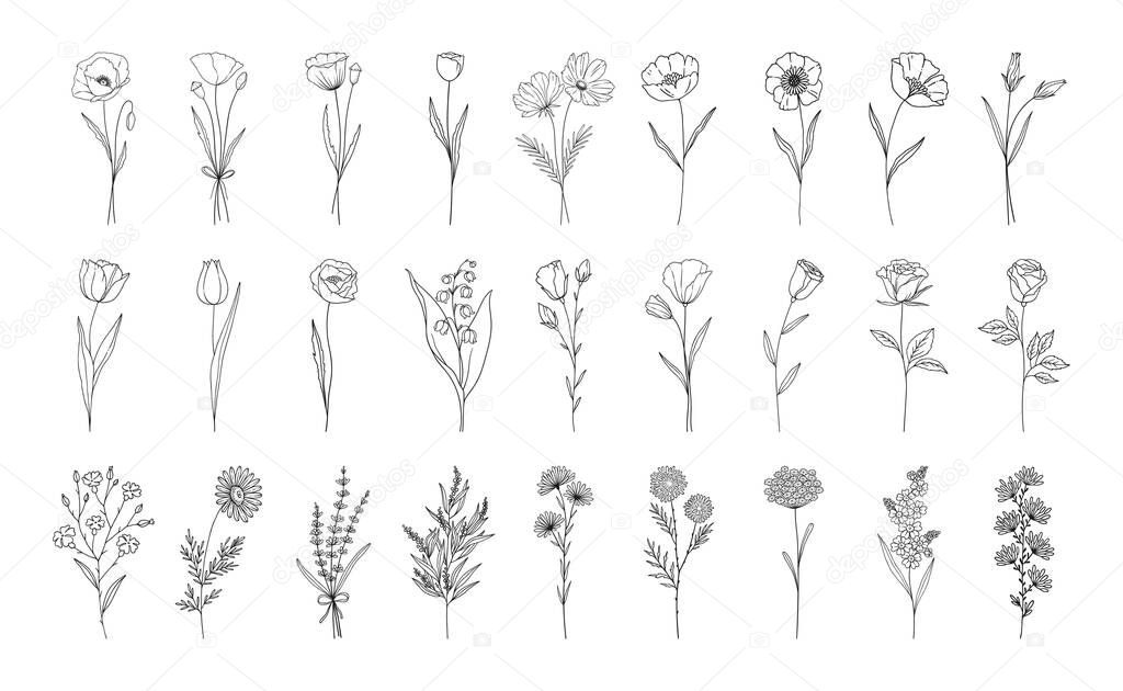 Floral set, line style hand drawn flowers. Poppy, rose, lily of the valley, lavender, chamomile and other botanical elements for design projects. Vector illustration.