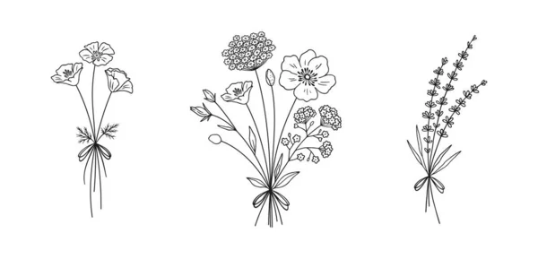 Wildflower Line Art Bouquets Set Handgezeichneter Mohn Lavendel Andere Wildpflanzen — Stockvektor