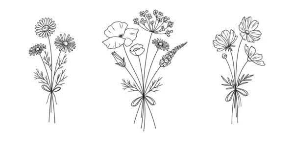 Wildflower Lijn Kunst Boeketten Set Handgetekende Kamille Cosmea Papaver Andere — Stockvector