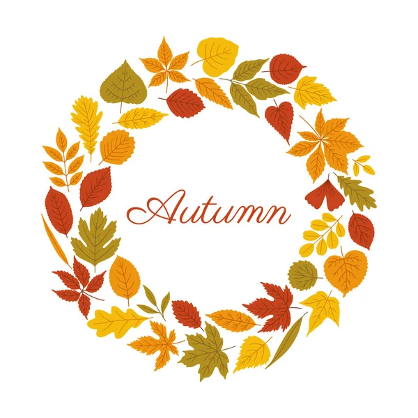Herfst Krans Witte Achtergrond Rond Frame Van Verschillende Herfstbladeren Warme — Stockvector