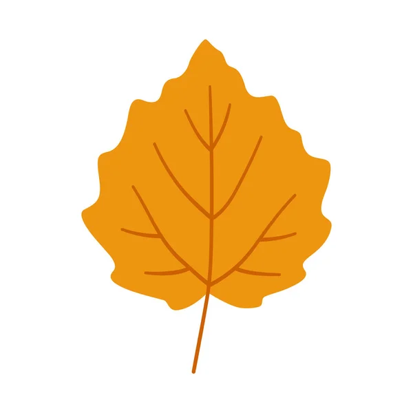 Поплар Осенний Лист Белом Фоне Теплые Цвета Осени Векторная Иллюстрация — стоковый вектор