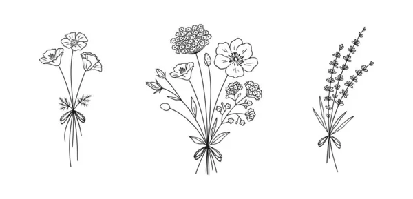 Wildflower Line Art Bouquets Set Handgezeichneter Mohn Lavendel Andere Wildpflanzen lizenzfreie Stockillustrationen