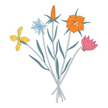 Parlak kır çiçekleri. Bir demet kar tanesi, siklamen, matthiola, farklı çayır çiçekleri ve çiçek açan yabani bitkiler. Tasarım projeleri için botanik el yapımı elementler. Vektör illüstrasyonu
