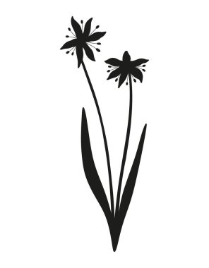Snowdrops bouquet silhouette. Bunch of blooming two wildflowers with leaves, wild plants, minimal style, black color. Botanical hand-drawn elements for design projects. Vector illustration
