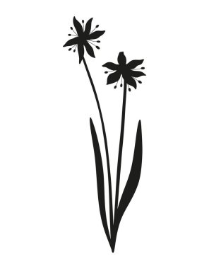 Kar damlaları buket silueti. Yapraklı iki kır çiçeği, daimi yabani bitkiler, minimal tarz, siyah renk. Tasarım projeleri için botanik el yapımı elementler. Vektör illüstrasyonu