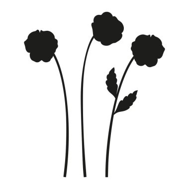 Bir çift nonoş silueti. Yapraklı kır çiçekleri, çok yıllık vahşi bitkiler, asgari bir tarz. Tasarım projeleri için botanik el yapımı elementler. Vektör illüstrasyonu