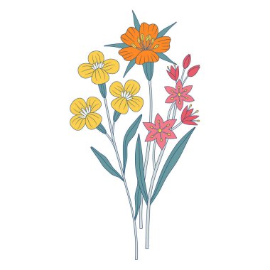 Parlak kır çiçekleri. Bir sürü gagea, farklı çayır çiçekleri, çiçek açan yabani bitkiler ve bitkiler. Tasarım projeleri için botanik el yapımı elementler. Vektör illüstrasyonu