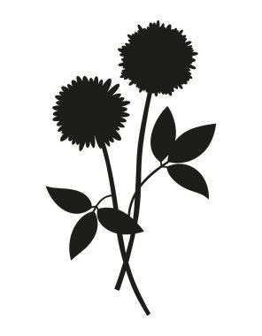 Uzun ömürlü, yapraklı, siyah renkli yabani bitkilerden oluşan bir buket. Çok uzun ömürlü vahşi bitkiler, asgari düzeyde. Tasarım projeleri için botanik el yapımı elementler. Vektör illüstrasyonu