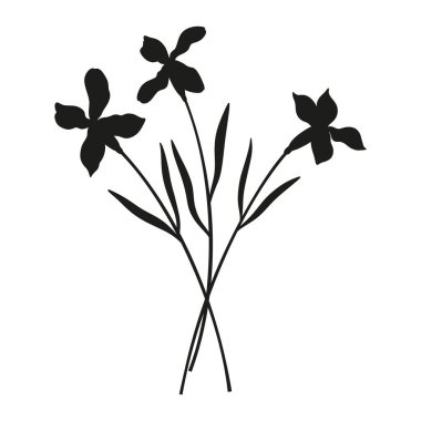 Üç buket Matthiola çiçek silueti. Çiçek açan kır çiçekleri, uzun ömürlü yabani bitkiler, asgari düzeyde. Tasarım projeleri için botanik el yapımı elementler. Vektör illüstrasyonu