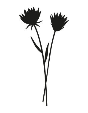 İki kır çiçeğinin buket silueti. Uzun ömürlü vahşi bitkiler sürüsü, minimal stil, siyah renk. Tasarım projeleri için botanik el yapımı elementler. Vektör illüstrasyonu