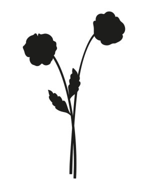 Yapraklı iki nonoş çiçekli siluet buketi. Çiçek açan kır çiçekleri, uzun ömürlü yabani bitkiler, asgari bir tarz. Tasarım projeleri için botanik el yapımı elementler. Vektör illüstrasyonu