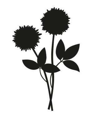 Uzun ömürlü yapraklı yabani bitkilerden oluşan bir buket. Çok uzun ömürlü vahşi bitkiler, asgari düzeyde. Tasarım projeleri için botanik el yapımı elementler. Vektör illüstrasyonu