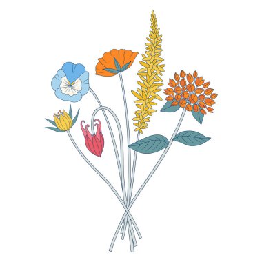 Parlak kır çiçekleri. Bir demet çayırlık çiçek, nonoş, yabani bitkiler, otlar. Tasarım projeleri için botanik el yapımı elementler. Vektör illüstrasyonu