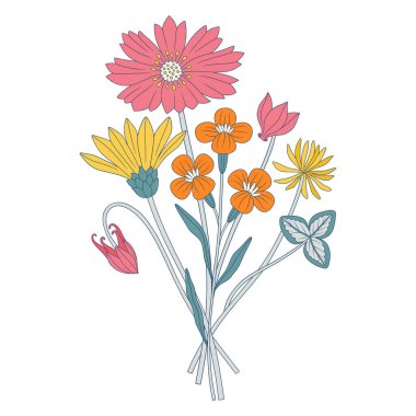 Parlak kır çiçekleri. Kozmos, yonca, farklı çayır çiçekleri, çiçek açan yabani bitkiler ve bitkiler. Tasarım projeleri için botanik el yapımı elementler. Vektör illüstrasyonu