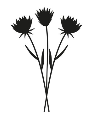 Üç kır çiçeğinin buket silueti. Bir grup bitkisel hayatta, asgari düzeyde. Tasarım projeleri için botanik el yapımı elementler. Vektör illüstrasyonu