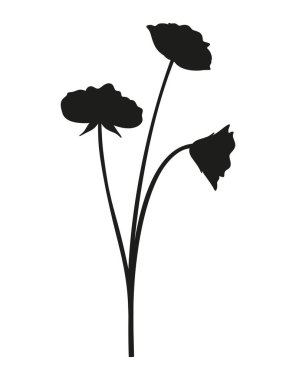 Üç buket kır çiçeği silueti. Çok uzun ömürlü vahşi bitkiler, asgari düzeyde. Tasarım projeleri için botanik el yapımı elementler. Vektör illüstrasyonu