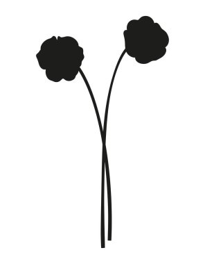 İki tane nonoş silueti. Çiçek açan kır çiçekleri, uzun ömürlü yabani bitkiler, asgari bir tarz. Tasarım projeleri için botanik el yapımı elementler. Vektör illüstrasyonu