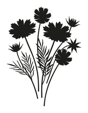 Kozmetik çiçekleri ve yapraklardan oluşan bir buket siluet. Çok uzun ömürlü vahşi bitkiler, asgari düzeyde. Tasarım projeleri için botanik el yapımı elementler. Vektör illüstrasyonu
