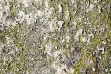 Doğa tarafından çamur ve alglerden yaratılan doku.