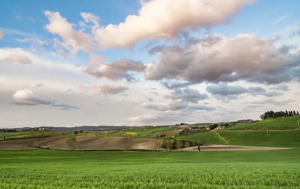 Green Tuscany hills — Stock Photo, Image