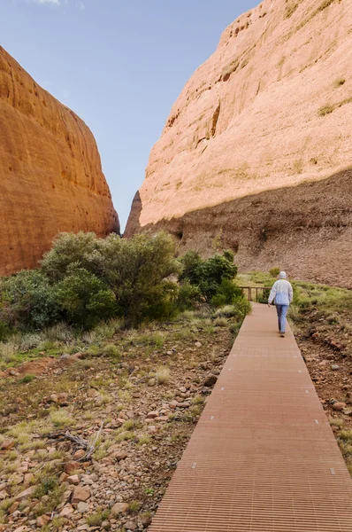 Vermelho Kata Tjuta — Fotografia de Stock