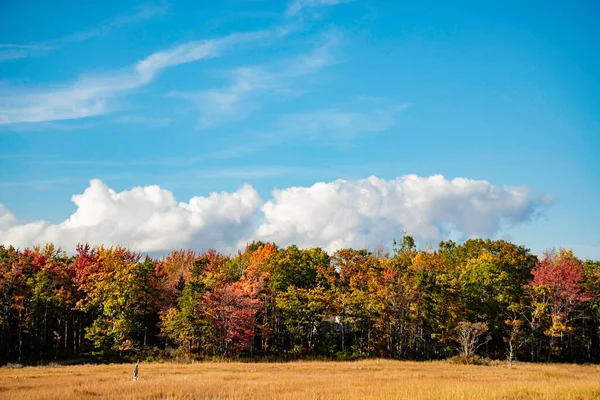 Autumn foliage and reflection in Maine landscape. — Stock Photo, Image