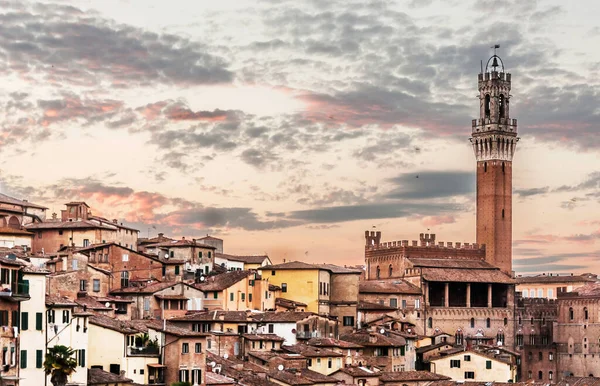 Panorámás Kilátás Nyílik Régi Város Siena Olaszország — Stock Fotó