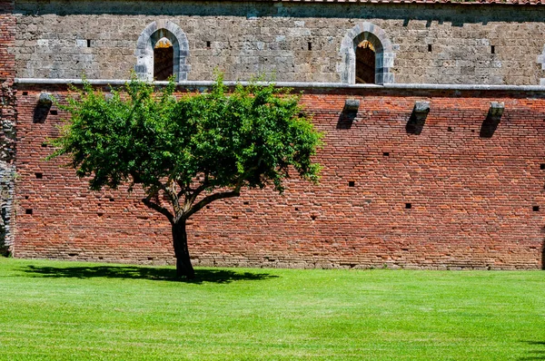 Ruinerna San Galgano Kloster Toscana Itay — Stockfoto