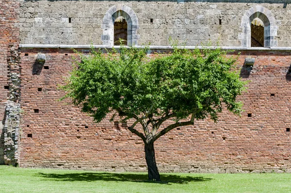 Les Ruines Abbaye San Galgano Toscane Itay — Photo