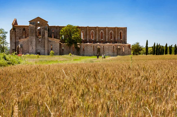 Ruïnes Van Abdij Van San Galgano Toscane Italië — Stockfoto