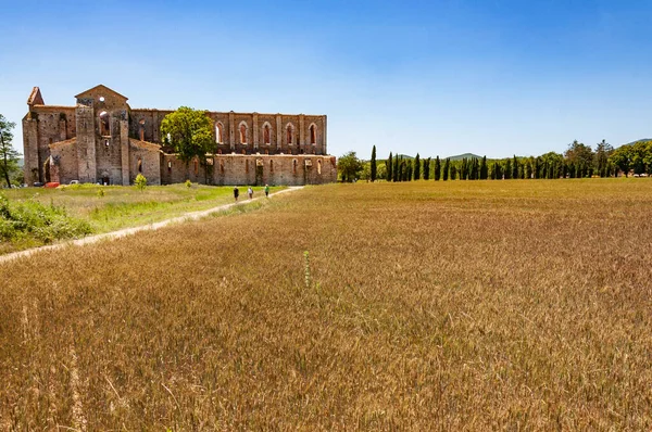 Las Ruinas Abadía San Galgano Toscana Italia —  Fotos de Stock