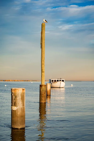 Malý Člun Pobřeží Oceánu Maine Usa — Stock fotografie