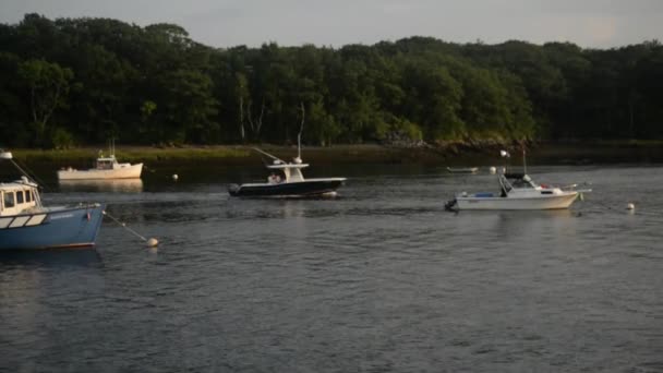 Fischerboot Segelt Einer Bucht Atlantik Maine Usa lizenzfreies Stockvideo