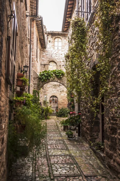 Spello — Stock fotografie