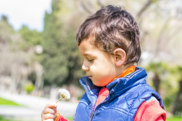 Niño pequeño con un diente de león —  Fotos de Stock