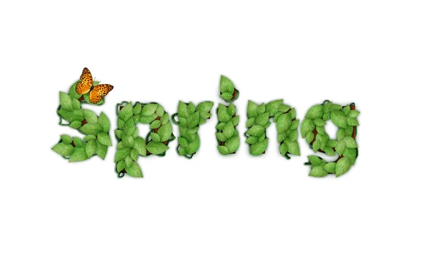 Padrão de Primavera — Fotografia de Stock