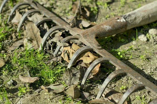 De hark op de grond met droge bladeren — Stockfoto