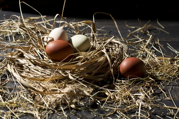 稻草上的复活节彩蛋 — 图库照片