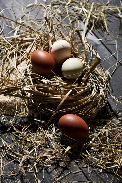 Huevos de Pascua en paja —  Fotos de Stock