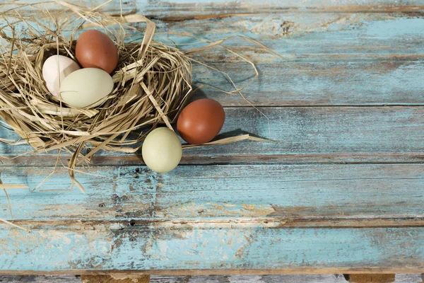 Velikonoční vajíčka hnízdo na dřevěné pozadí — Stock fotografie