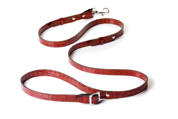 Red dog leash — Stock Photo, Image