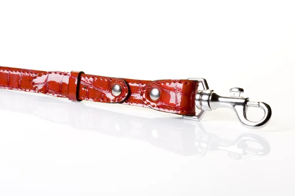 Red dog leash — Stock Photo, Image