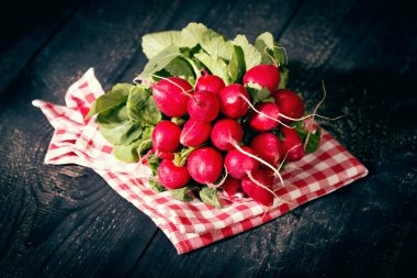 Radieschen
