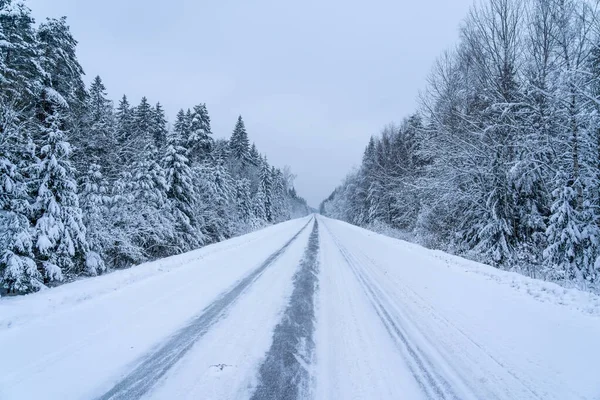 Δρόμος Σκεπασμένος Χιόνι Χειμώνα Στο Δάσος — Φωτογραφία Αρχείου