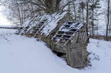 Litvanya köyündeki terk edilmiş eski bodrum..