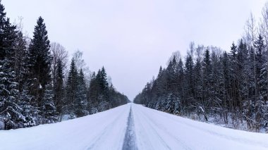 Yol ormanda kış karını kaplamıştı.
