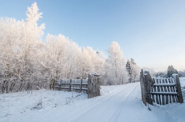 The gate — Stock Photo, Image